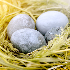 Naklejka na ściany i meble Easter eggs in green nest on wooden table.
