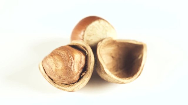 Hazelnut ingredient for sweets, cakes and sweets