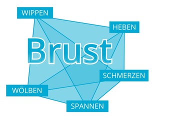 Brust - Begriffe verbinden, Farbe blau