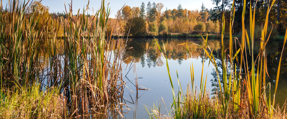Beautiful forest lake in Belarus. Summer sunny day. Belarusian nature from beautiful places of the country.Long banner
