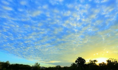 Obraz premium landscape with trees and blue sky