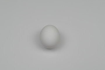 isolated white egg