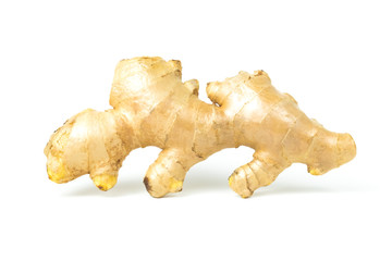 Ginger fresh isolated is a rooted plant with medicinal properties and is the elixir. with vitamins on white background and clipping path. The name of science : Zingiber officinale Roscoe