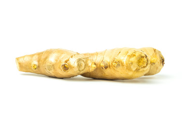 Ginger fresh isolated is a rooted plant with medicinal properties and is the elixir. with vitamins on white background and clipping path. The name of science : Zingiber officinale Roscoe