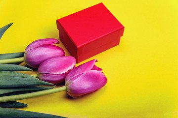 Spring background with a bouquet of beautiful tulips and gift box on a yellow background