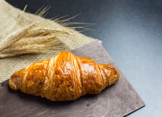 Fresh french croissant with ears of wheat on black background on the table.