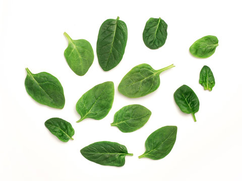 Baby spinach leaves on a white background, top view with copy space, mock up