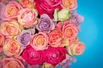 Beautiful bouquet of roses in a gift box. Bouquet of pink roses. Pink roses close-up. on blue background, with space for text.