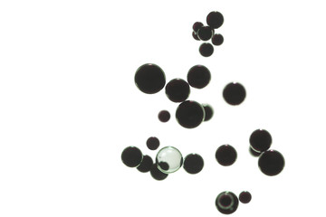 Black bubbles