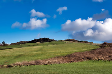 Obraz premium OLYMPUS DIGITAL CAMERA