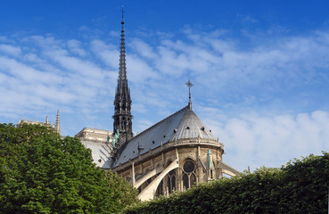 Fototapeta na wymiar Notre dame cathedral in Paris