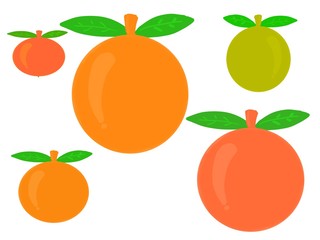 set of fruits isolated on white background