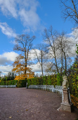 Autumn park in St Petersburg, Russia