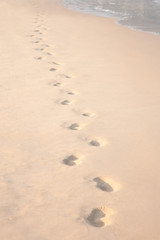 shapes in the sand