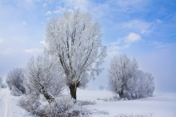 piękny zimowy krajobraz