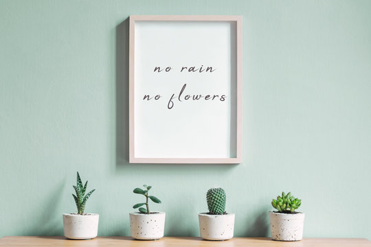 Minimalistic home interior with succulents and picture frame