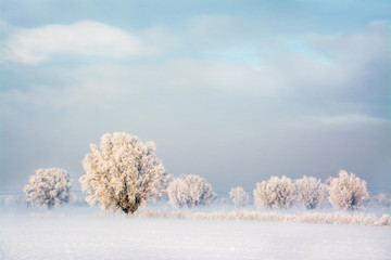 piękny zimowy krajobraz, szron na drzewach - obrazy, fototapety, plakaty