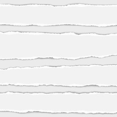 Fototapeta premium Several vector torn white paper stripes with shadow placed on white background. Realistic ripped paper pieces.