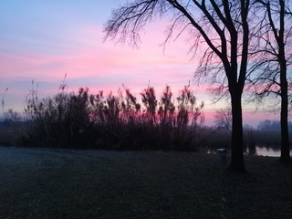 il colore dell'alba in inverno