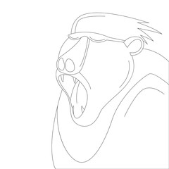 monkey hipster, vector illustration,