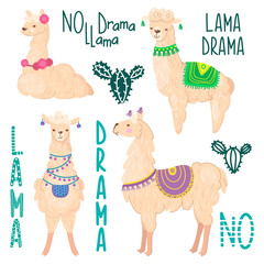 Llama vector set . Alpaca wool and lamas illustration with no drama llama quote. Cartoon style.