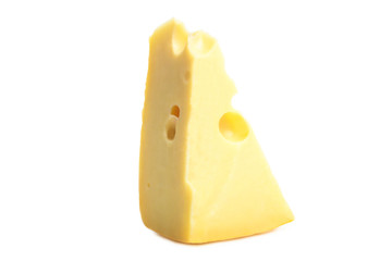 yellow Maasdam cheese