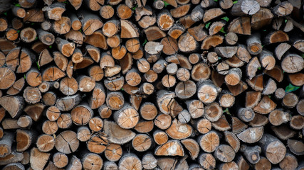wood pile, stack of wood