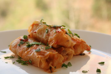 Stuffed cabbage, Sarma meal with meat