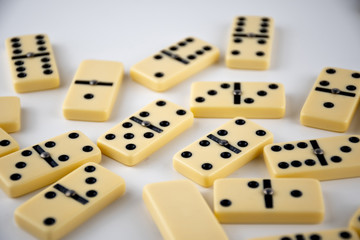 domino  on white background