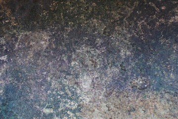 Cracks of the wall and green moss.