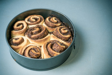 Cinnamon buns. Homemade cinnamon rolls.