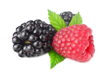blackberries with raspberries and green leaf isolated on white background. macro