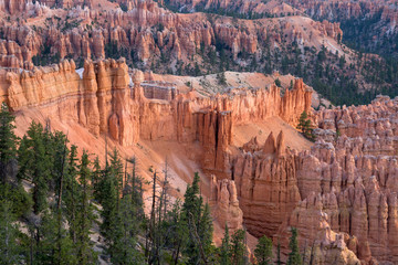landscape on the bryce canyon in the united states of america