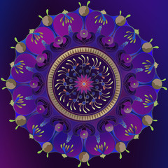 when you know that you are a star