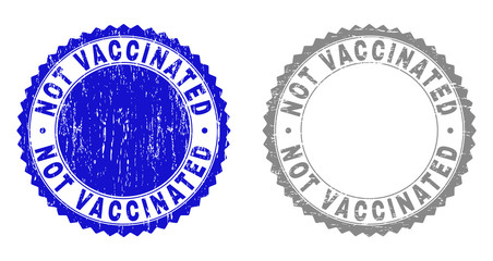 Grunge NOT VACCINATED stamp seals isolated on a white background. Rosette seals with grunge texture in blue and gray colors. Vector rubber stamp imitation of NOT VACCINATED title inside round rosette.