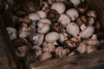 Mushrooms in a rustic style background