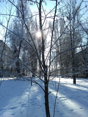 Зима