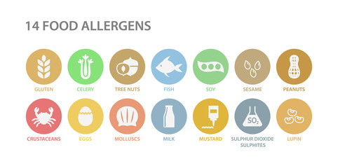 Food allergens white icons in pastel colorful circles. 14 food allergens vector circle icon set. Peanut, gluten, lactose soy allergy icons. Menu list of allergies. - obrazy, fototapety, plakaty