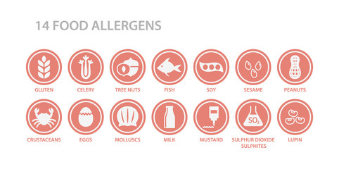 14 food allergens menu list circle icon set. Food allergen white icons in pink circles. Gluten, eggs, milk, nuts allergy vector icons. - obrazy, fototapety, plakaty