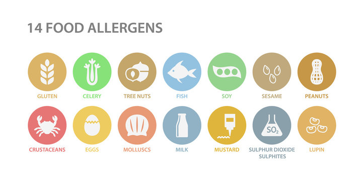 Food allergens white icons in pastel colorful circles. 14 food allergens vector circle icon set. Peanut, gluten, lactose soy allergy icons. Menu list of allergies.