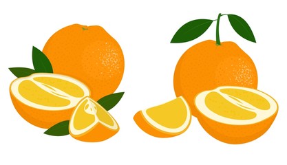 Orange whole, half and slice of orange with leaves on white background. Citrus fruit. Vector illustration of oranges on white background.
