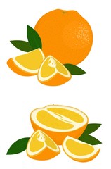 Orange whole, half and slice of orange with leaves on white background. Citrus fruit. Vector illustration of oranges on white background.