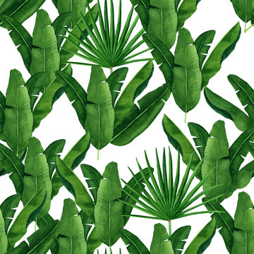 Seamless watercolor pattern of palm leaves