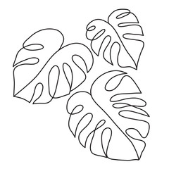 Monstera Tropical leaf © ColorValley