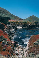 Big Sur Beach View