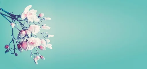 Gordijnen Beautiful magnolia spring blossom. Flowering branch of magnolia at turquoise background. Springtime concept. Floral border. Banner or template with copy space © VICUSCHKA