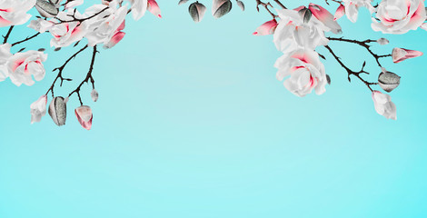 Pretty spring magnolia blossom branches frame at turquoise background, floral border. Springtime concept