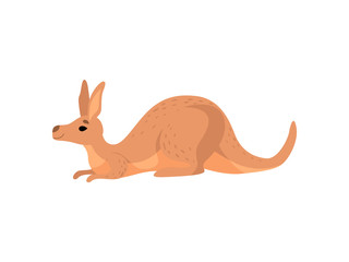 Brown Lying Kangaroo, Cute Wallaby Australian Animal Character Vector Illustration