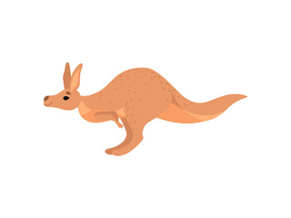 Fototapeta na wymiar Cute Brown Kangaroo, Wallaby Australian Animal Character, Side View Vector Illustration