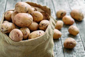 Raw potatoes in a burlap sack on the rough wooden boards
